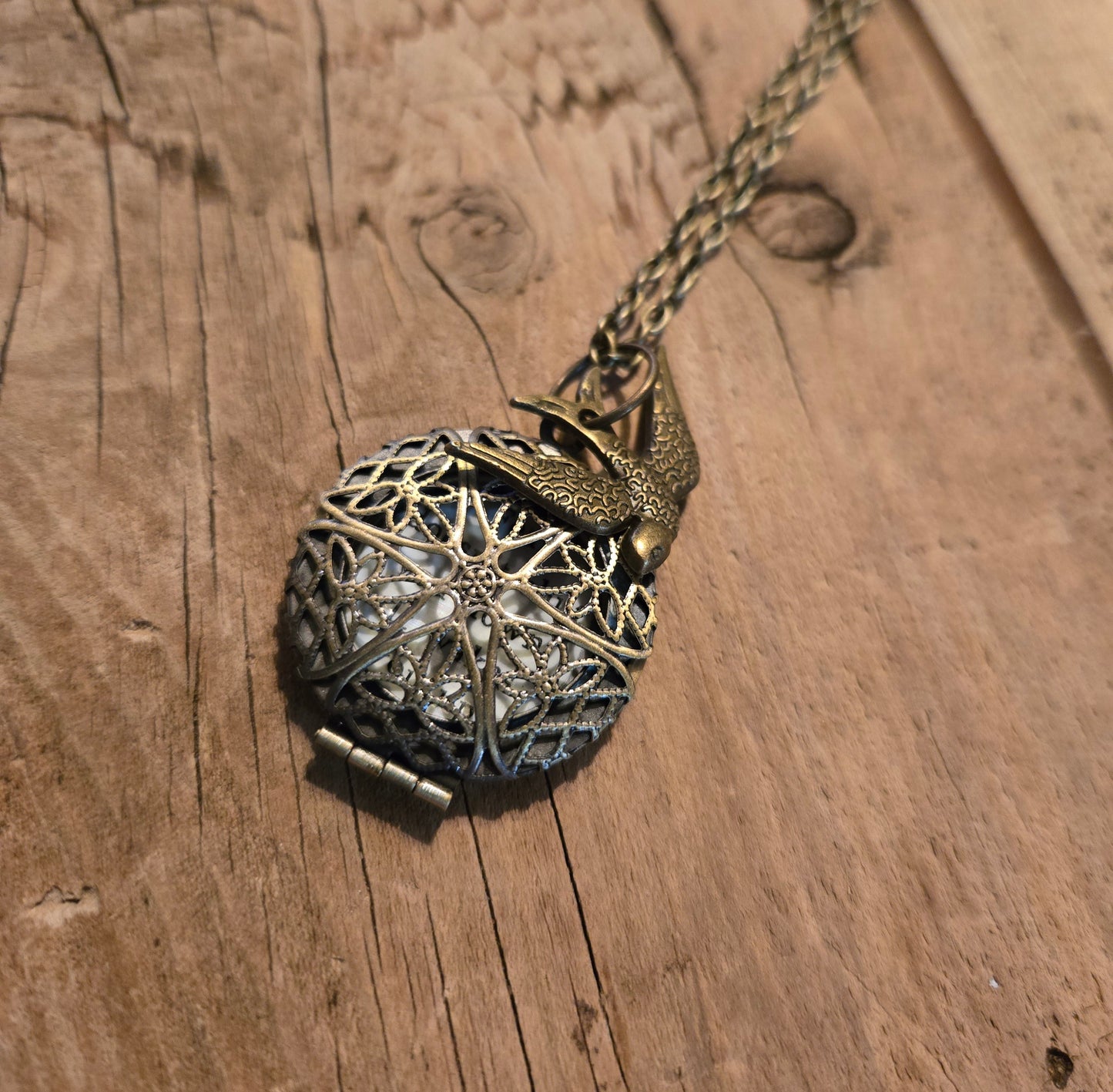 Divergent Locket Necklace